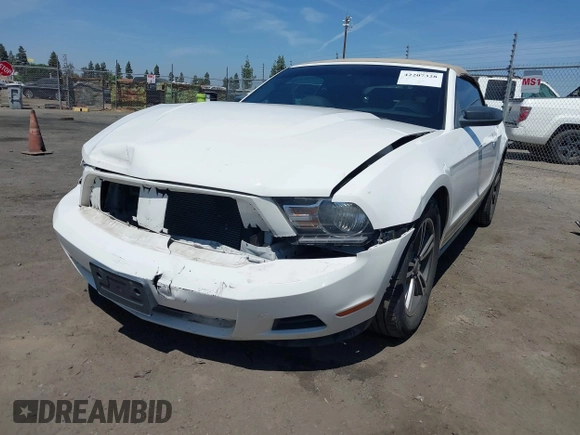 2011 Ford Mustang V6 with VIN 1ZVBP8EM7B5120394, listed as a IAAI auction lot 42207328 with 155,584 mi miles and . Bid and sale history available at DreamBid. Image 2.