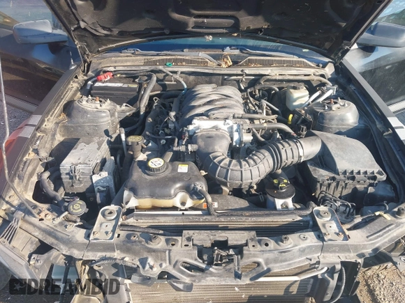 2006 Ford Mustang GT Deluxe with VIN 1ZVHT82H865252390, listed as a IAAI auction lot 42645097 with 91,083 mi miles and . Bid and sale history available at DreamBid. Image 10.