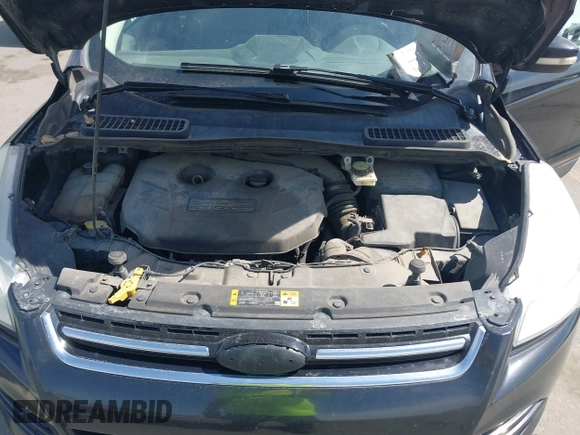 2013 Ford Escape SEL with VIN 1FMCU0H98DUB16061, listed as a IAAI auction lot 42046687 with 204,913 mi miles. Bid and sale history available at carsss.com. Image 10.