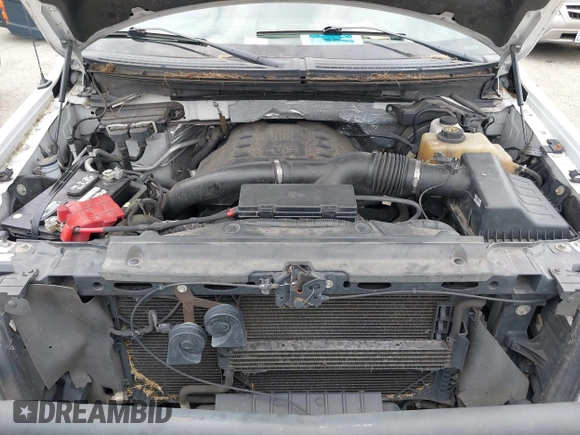 2013 Ford F-150 XL with VIN 1FTFW1ET5DFC35580, listed as a IAAI auction lot 42738713 with 209,492 mi miles and . Bid and sale history available at DreamBid. Image 10.