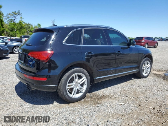 2013 Audi Q5 Premium Plus with VIN WA1LFAFP9DA008520, listed as a Copart auction lot 50175995 with 132,284 mi miles and Salvage Title. Bid and sale history available at carsss.com. Image 3.