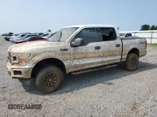 2019 Ford F-150 XL z VIN 1FTEW1EP9KFA29514, wystawiony jako Copart lot #59847225 z przebiegiem Nie podano mil oraz Szkoda całkowita • Salvage title. Historia ofert i sprzedaży dostępna na DreamBid. Obrazek 1.