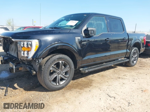 2023 Ford F-150 XL with VIN 1FTEW1C59PFB19609, listed as a IAAI auction lot 41886694 with 61,349 mi miles and . Bid and sale history available at DreamBid. Image 2.