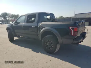 2017 Ford F-150 Raptor with VIN 1FTFW1RG2HFC18383, listed as a Copart auction lot 53520625 with 119,522 mi miles and Clean Title. Bid and sale history available at DreamBid. Image 2.