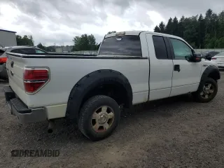2010 Ford F-150 XL z VIN 1FTFX1CV5AKE47416, wystawiony jako Copart lot #65258895 z przebiegiem 260 458 mil mil oraz Czysty tytuł • Clean title. Historia ofert i sprzedaży dostępna na DreamBid. Obrazek 3.