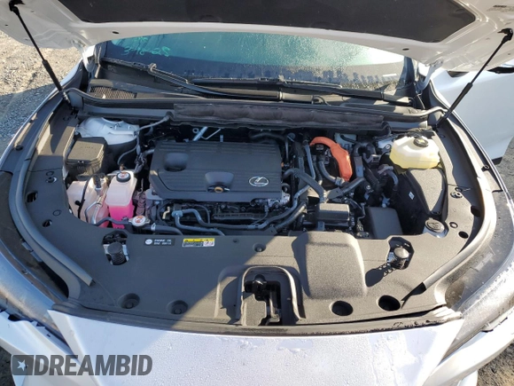 2025 Lexus RX 350h with VIN 2T2BBMCA4SC065324, listed as a Copart auction lot 49874505 with 3,849 mi miles and Salvage title. Bid and sale history available at DreamBid. Image 13.
