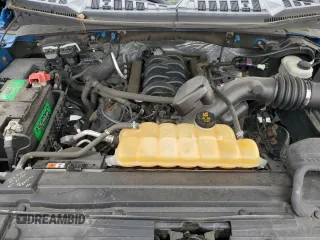 2015 Ford F-150 XLT with VIN 1FTEW1EF7FFC18014, listed as a Copart auction lot 49843605 with 122,701 mi miles and Salvage Title. Bid and sale history available at carsss.com. Image 11.