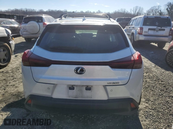 2020 Lexus UX 200 with VIN JTHP3JBH3L2025111, listed as a Copart auction lot 89348125 with 58,406 mi miles and Salvage title. Bid and sale history available at DreamBid. Image 6.