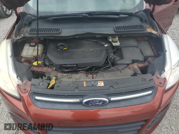 2014 Ford Escape SE with VIN 1FMCU9GXXEUD76953, listed as a Copart auction lot 56340015 with 118,327 mi miles and Salvage title. Bid and sale history available at DreamBid. Image 12.