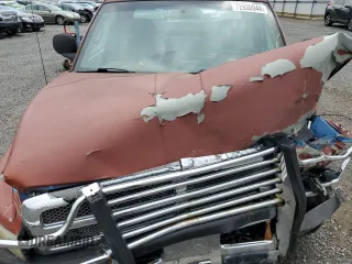1999 Dodge 1500 with VIN 3B7HC12Y2XG134937, listed as a Copart auction lot 72930944 with Not Provided miles and Salvage Title. Bid and sale history available at DreamBid. Image 12.