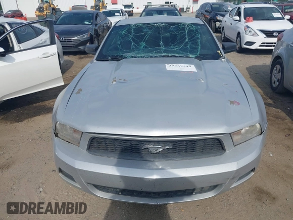 2010 Ford Mustang V6 with VIN 1ZVBP8AN5A5144531, listed as a IAAI auction lot 39339392 with 212,829 mi miles and . Bid and sale history available at DreamBid. Image 12.