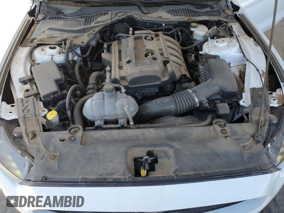 2017 Ford Mustang EcoBoost with VIN 1FA6P8TH5H5282467, listed as a Copart auction lot 48639475 with 104,396 mi miles and Clean Title. Bid and sale history available at carsss.com. Image 11.