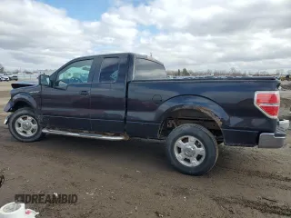 2013 Ford F-150 XL with VIN 1FTEX1CM4DFA97115, listed as a Copart auction lot 49899335 with Not Provided miles and Salvage Title. Bid and sale history available at carsss.com. Image 2.
