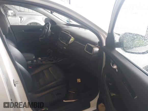 2017 Kia Sorento EX with VIN 5XYPHDA12HG278345, listed as a IAAI auction lot 42024881 with 119,502 mi miles and . Bid and sale history available at carsss.com. Image 5.