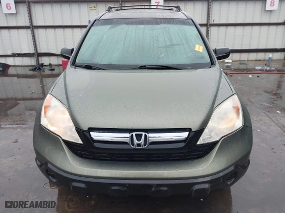 2009 Honda CR-V EX-L with VIN JHLRE38709C007153, listed as a IAAI auction lot 41443864 with 259,822 mi miles. Bid and sale history available at carsss.com. Image 13.