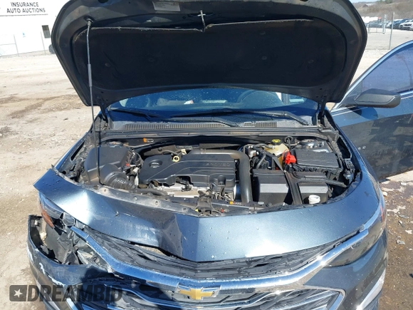 2019 Chevrolet Malibu LS with VIN 1G1ZB5ST1KF142016, listed as a IAAI auction lot 41770598 with 117,175 mi miles and . Bid and sale history available at DreamBid. Image 10.