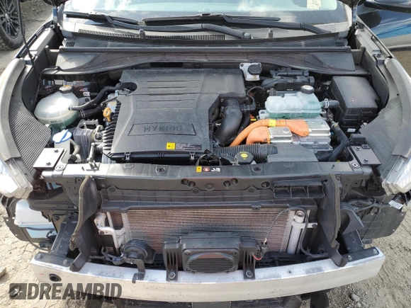 2019 Kia Niro LX with VIN KNDCB3LC8K5264085, listed as a Copart auction lot 56310404 with 65,243 mi miles and Salvage Title. Bid and sale history available at carsss.com. Image 11.