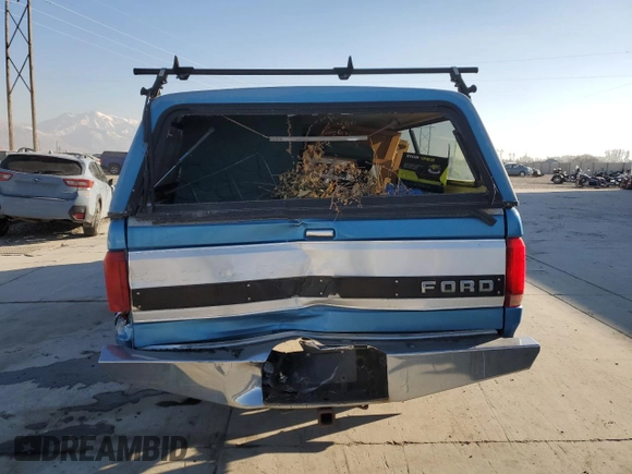 1993 Ford F-150 with VIN 1FTEX15N6PKB47692, listed as a Copart auction lot 43487355 with 129,417 mi miles and Salvage Title. Bid and sale history available at carsss.com. Image 6.