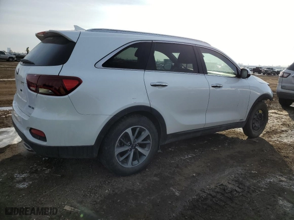 2019 Kia Sorento EX V6 with VIN 5XYPHDA52KG445622, listed as a Copart auction lot 44812945 with 133,296 mi miles and Salvage Title. Bid and sale history available at carsss.com. Image 3.