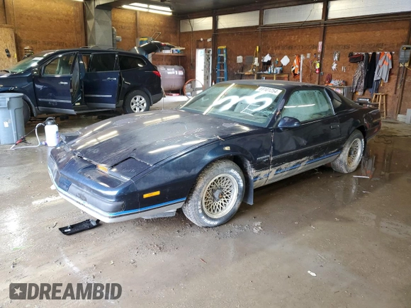 1987 Pontiac Firebird with VIN 1G2FS21S4HN213083, listed as a Copart auction lot 69101254 with 172,214 mi miles and Salvage title. Bid and sale history available at DreamBid. Image 1.