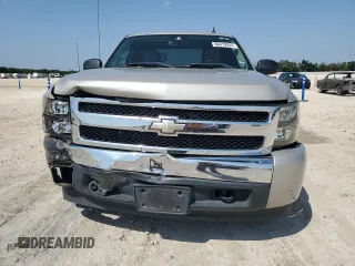2008 Chevrolet Silverado 1500 1LT with VIN 1GCEC19C78Z125746, listed as a Copart auction lot 56319555 with 168,610 mi miles and Salvage Title. Bid and sale history available at DreamBid. Image 5.