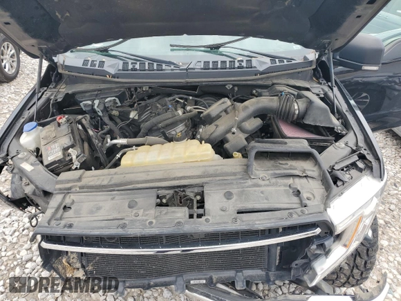 2019 Ford F-150 XL with VIN 1FTEW1E56KFB84343, listed as a Copart auction lot 60722365 with Not provided miles and Clean title. Bid and sale history available at DreamBid. Image 11.