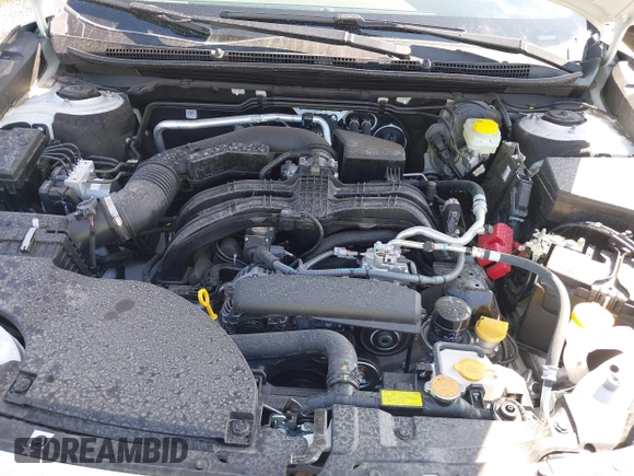 2025 Subaru Outback Premium with VIN 4S4BTADC9S3235536, listed as a IAAI auction lot 42313570 with 123 mi miles and . Bid and sale history available at DreamBid. Image 10.