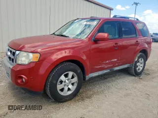 2010 Ford Escape Limited with VIN 1FMCU0EG1AKA11632, listed as a Copart auction lot 60788805 with 192,626 mi miles and Salvage title. Bid and sale history available at DreamBid. Image 1.