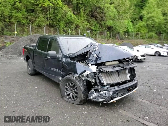 2023 Ford F-150 XL with VIN 1FTFW1E50PFA81169, listed as a Copart auction lot 55646095 with Not provided miles and Salvage title. Bid and sale history available at DreamBid. Image 13.