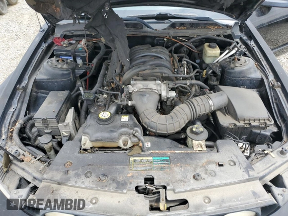 2005 Ford Mustang GT Deluxe z VIN 1ZVFT82H555212371, wystawiony jako Copart lot #55881535 z przebiegiem Nie podano mil oraz Czysty tytuł • Clean title. Historia ofert i sprzedaży dostępna na DreamBid. Obrazek 11.