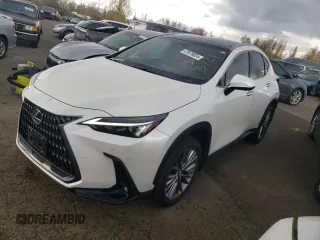 2022 Lexus NX with VIN JTJHKCEZ2N2005490, listed as a Copart auction lot 50344684 with 21,937 mi miles and Salvage Title. Bid and sale history available at carsss.com. Image 1.