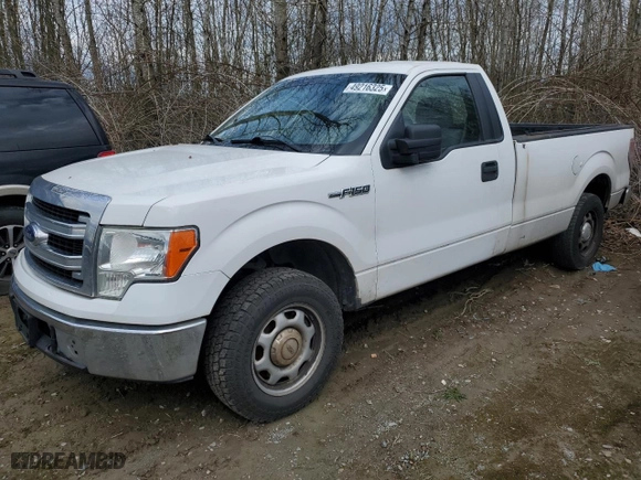 2014 Ford F-150 XL with VIN 1FTNF1CF3EKD47800, listed as a Copart auction lot 49216325 with 258,948 mi miles and Salvage Title. Bid and sale history available at carsss.com. Image 1.