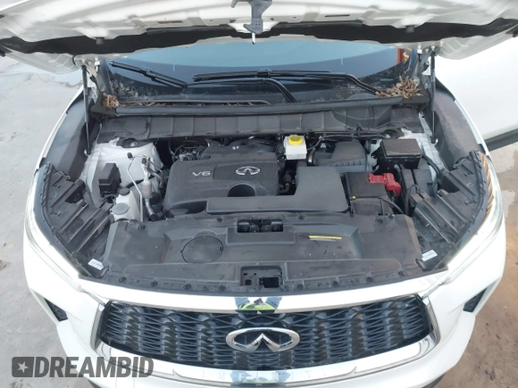 2024 Infiniti QX60 Luxe with VIN 5N1DL1FRXRC335701, listed as a IAAI auction lot 41243510 with 13,462 mi miles and . Bid and sale history available at DreamBid. Image 10.