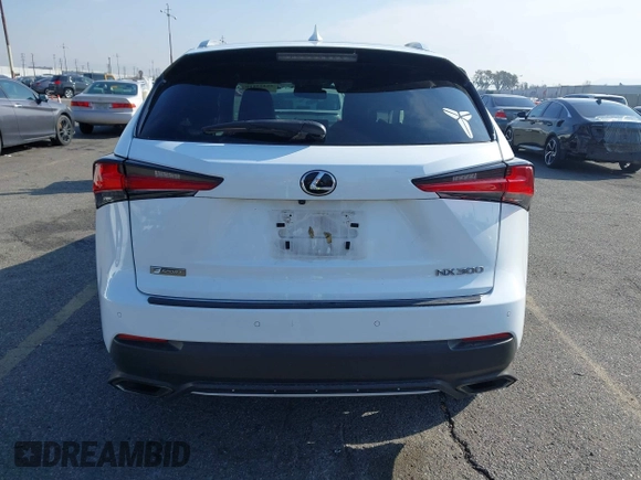 2018 Lexus NX 300 with VIN JTJYARBZ6J2094405, listed as a IAAI auction lot 41435110 with 147,944 mi miles and . Bid and sale history available at DreamBid. Image 17.