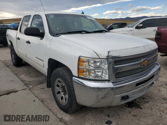 2013 Chevrolet Silverado 1500 LS with VIN 3GCPKREA9DG322507, listed as a Copart auction lot 61960472 with 167,442 mi miles and Non Repairable. Bid and sale history available at DreamBid. Image 1.