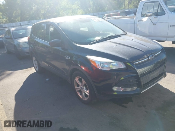 2013 Ford Escape SE with VIN 1FMCU9GX5DUB79784, listed as a IAAI auction lot 42733276 with 110,961 mi miles and . Bid and sale history available at DreamBid. Image 1.