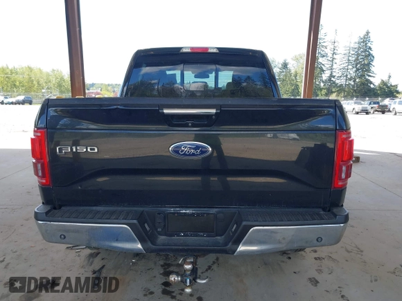 2015 Ford F-150 XLT with VIN 1FTEW1EG3FFA64460, listed as a IAAI auction lot 42099617 with 206,724 mi miles. Bid and sale history available at carsss.com. Image 16.