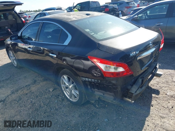 2010 Nissan Maxima SV with VIN 1N4AA5AP4AC850777, listed as a IAAI auction lot 42051922 with 232,757 mi miles and . Bid and sale history available at DreamBid. Image 3.