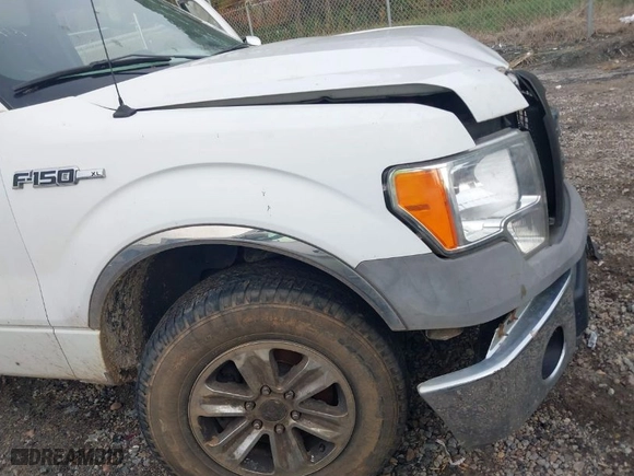 2013 Ford F-150 XL with VIN 1FTFW1CF2DFB40942, listed as a IAAI auction lot 40884111 with 266,063 mi miles. Bid and sale history available at carsss.com. Image 19.