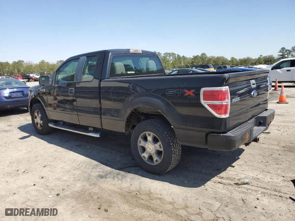 2010 Ford F-150 XL with VIN 1FTEX1EWXAFA70320, listed as a Copart auction lot 48760175 with 121,086 mi miles and Clean Title. Bid and sale history available at carsss.com. Image 2.