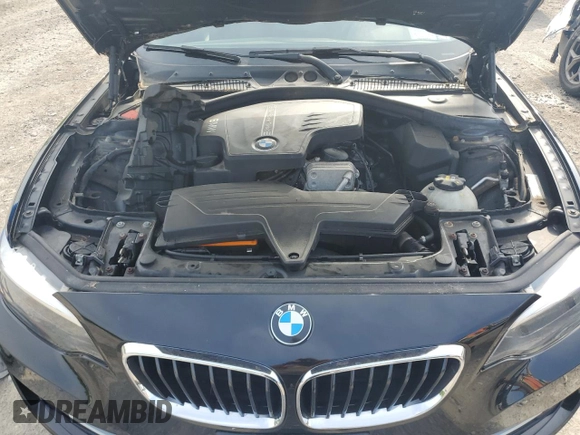 2016 BMW 2 Series 228i xDrive with VIN WBA1G9C52GV598419, listed as a Copart auction lot 62464515 with 49,793 mi miles and Salvage title. Bid and sale history available at DreamBid. Image 11.