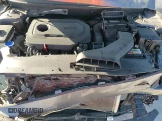 2018 Hyundai Sonata SE with VIN 5NPE24AF7JH702248, listed as a Copart auction lot 87008745 with 118,562 mi miles and Salvage title. Bid and sale history available at DreamBid. Image 16.