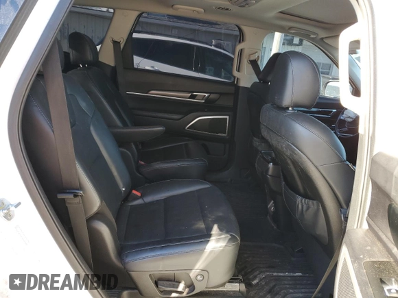2020 Kia Telluride S with VIN 5XYP6DHCXLG076584, listed as a Copart auction lot 87949765 with 87,283 mi miles and Salvage Title. Bid and sale history available at DreamBid. Image 11.