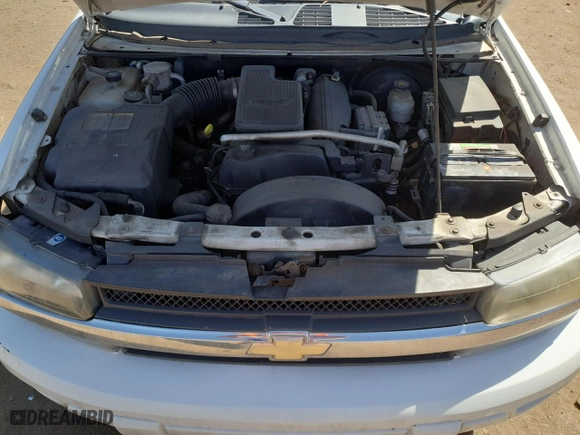 2005 Chevrolet TrailBlazer LS with VIN 1GNET16S856187009, listed as a Copart auction lot 53874385 with 203,918 mi miles and Clean Title. Bid and sale history available at carsss.com. Image 12.