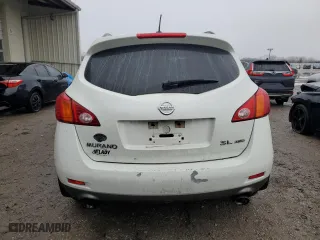 2009 Nissan Murano LE with VIN JN8AZ18W99W207736, listed as a Copart auction lot 85151904 with 189,265 mi miles and Clean Title. Bid and sale history available at carsss.com. Image 6.