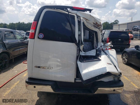 2019 Chevrolet Express Passenger LT with VIN 1GAZGPFP2K1314996, listed as a Copart auction lot 64846124 with 111,446 mi miles and Non Repairable. Bid and sale history available at carsss.com. Image 6.