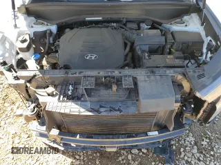 2020 Hyundai Palisade SEL with VIN KM8R34HE4LU110211, listed as a Copart auction lot 58011805 with 64,216 mi miles and Salvage title. Bid and sale history available at DreamBid. Image 11.