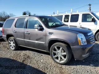 2010 Cadillac Escalade Premium with VIN 1GYUKCEF2AR264970, listed as a Copart auction lot 49448435 with 153,957 mi miles and Salvage title. Bid and sale history available at DreamBid. Image 4.