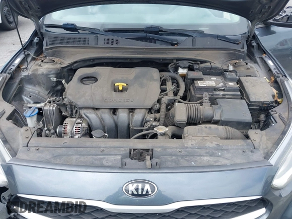 2019 Kia Forte LXS with VIN 3KPF24AD5KE074196, listed as a IAAI auction lot 42137376 with 109,067 mi miles and . Bid and sale history available at DreamBid. Image 10.