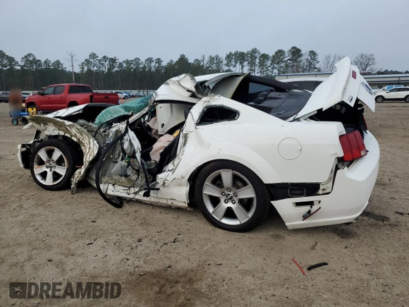 2006 Ford Mustang GT Deluxe with VIN 1ZVHT82H665248483, listed as a Copart auction lot 43163155 with 0 mi miles and Salvage Title. Bid and sale history available at carsss.com. Image 2.
